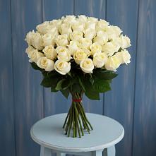 Букет 51 Белая роза Эдлесс Лав #REPLACE_PRED# Топчихе